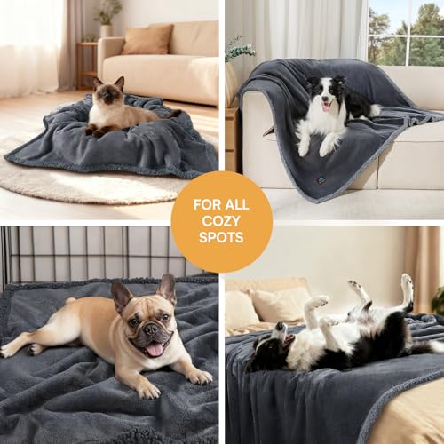 Waterproof Pet Blanket, Liquid Pee Proof Dog Blanket for Sofa Bed Couch, Reversible Sherpa Fleece Furniture Protector Cover for Small Medium Large Dogs Cats, Dark Gray Small（40" x 28"）