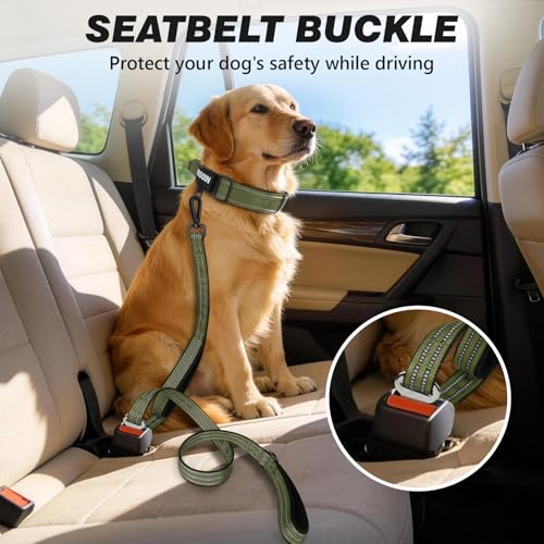 WINGOIN Dog Leash for Large Medium Dogs, Heavy Duty Dog Leashes with Double Handle, Poop Bag Holder, Metal Clip, Car Seat Belt Buckle, Reflective