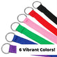 Downtown Pet Supply 6ft Dog Kennel Slip Lead Leash for Dogs - Veterinarian, Grooming, Daycare & Animal Rescue Supplies - One Size Fits All - 1" Thick