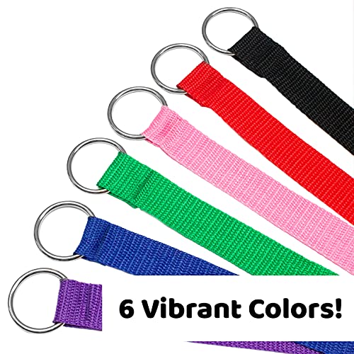 Downtown Pet Supply 6ft Dog Kennel Slip Lead Leash for Dogs - Veterinarian, Grooming, Daycare & Animal Rescue Supplies - One Size Fits All - 1" Thick