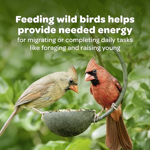 Kaytee Nyjer Wild Bird Food Seed, 5 Pound