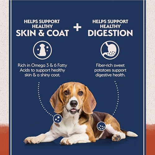 Natural Balance Limited Ingredient Adult Dry Dog Food - Balanced Nutrition for Adult Dogs - Grain-Free, Soy-Free Recipe - Limited Ingredient Formula