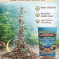 Ramshorn and Mystery Snail Complete Diet Aquarium Snail Food – Calcium-Enriched Sinking Pellets, Wafers & Granules.