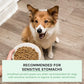 Open Farm Ancient Grains Dry Dog Food – Harvest Chicken, 22 lb