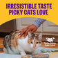 Wellness Complete Health Pate Variety Pack Kitten Canned Wet Cat Food, Natural, Protein Rich, Grain Free, Whitefish and Chicken Recipes, 3 oz, Pack of 12 Cans