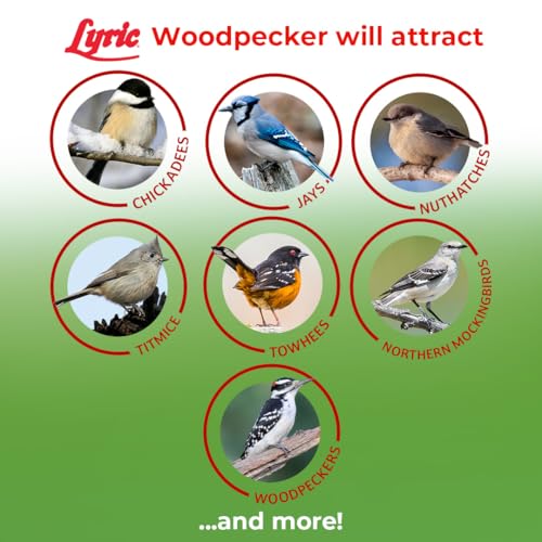 Lyric Woodpecker Wild Bird Seed for Outside Feeders, Shelled, No Waste Bird Seed with Nuts & Dried Fruit, 20 lb Bag