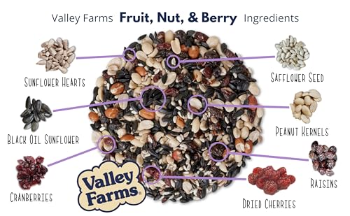 Valley Farms Fruit Nut & Berry (4 LB) Wild Bird Food Outside Feeders, Bird Seed with Dried Fruit, Peanuts, Sunflower, and Safflower, High Energy Mix for Healthy Birds!