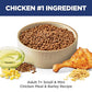 Hill's Science Diet Adult 7+ Small & Mini Dry Dog Food, Chicken & Brown Rice, 4.5 lb. Bag