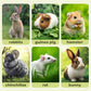 Sweet Bamboo 250g Natural Molar Wood Treats Toys for Small Animals, Rabbits, Guinea Pig, Bunny, Hamster, Rat, Chinchillas