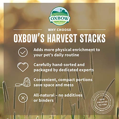 Oxbow Harvest Stacks, Western Timothy Hay with Chamomile, Guinea Pig Hay, Small Pet Bunny Supplies, Western Timothy for Rabbits, Guinea Pigs, Chinchillas, Hamsters & Gerbils, 35 oz.