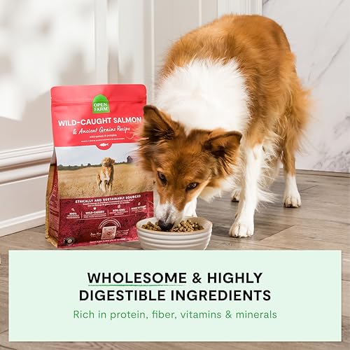 Open Farm Ancient Grains Dry Dog Food – Pasture Raised Lamb, 22 lb
