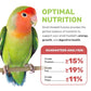 Small Hookbill Cuisine, 4 Lbs Premium Birdseeds for Parrot, Bird Food for Small Hookbill, Supports Daily Energy, Growth & Digestive Health, Nutrient-Rich Parrot Bird Seed for Outside Feeders