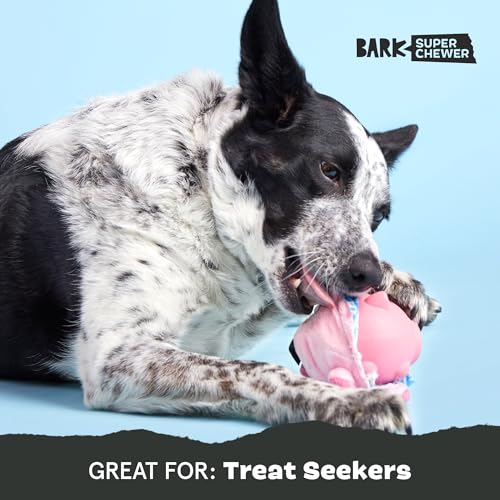 Barkbox Hambone Super Chewer Tough Dog Chew Toy for Aggressive Chewers, Plush Cover with Rubber Core - 2 Toys in 1 – Two Layer Treat Dispensing Dog