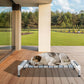 Caghash Elevated Outdoor Raised Dog Bed Outdoor Dogs Bed Lifted Pet Bed Dog Cot for Medium Pet Taste Life, Start with A Pet Bed 34'' x 26'' x 6.5''