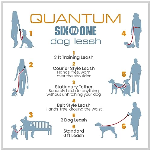 Kurgo 6 in 1 Quantum Leash, Hands Free Leash for Dogs, Running Belt Lead, Crossbody & Waist Belt Style, Reflective, Carabiner Clip, for Training
