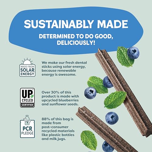 Shameless Pets Blueberry & Mint Dental Chews for Dogs, 8 Chews - Natural Dog Teeth Cleaning Treats with Fresh Breath Benefits | Grain-Free Dental
