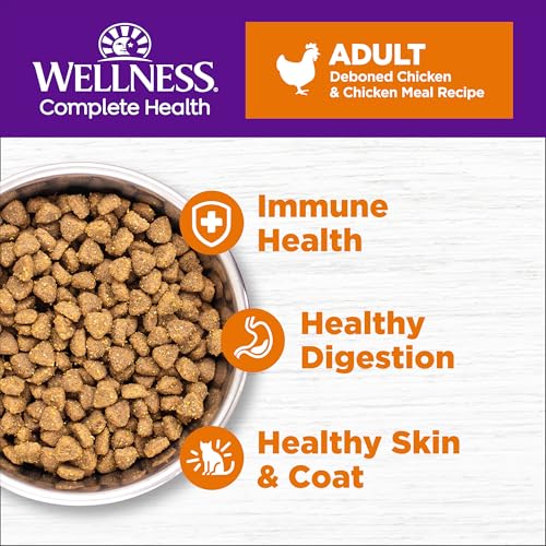 Wellness Complete Health Adult Dry Cat Food for Indoor and Outdoor Cats, Grain Free, Natural, Chicken & Chicken Meal (5.5 Pound Bag)
