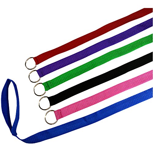 Downtown Pet Supply 6ft Dog Kennel Slip Lead Leash for Dogs - Veterinarian, Grooming, Daycare & Animal Rescue Supplies - One Size Fits All - 1" Thick