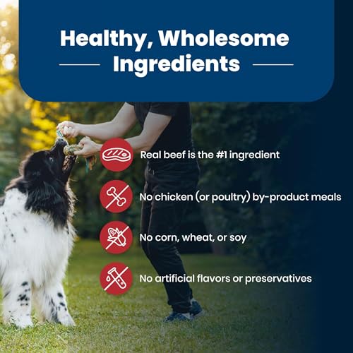 Blue Buffalo Life Protection Formula Adult Dry Dog Food, Helps Build and Maintain Strong Muscles, Made with Natural Ingredients, Beef & Brown Rice Recipe, 5-lb. Bag