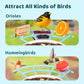 NETVUE by Birdfy Pro Perch - Wider Extension Perch to DIY Add-ons Including Suet Ball, Mini Hummingbird Feeder, Fruit Holder, Jelly Feeder and Welcome Card, Ideal for Bird Lover (Blue)