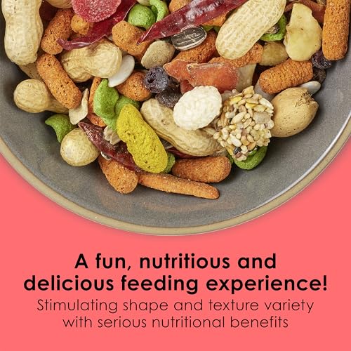 Kaytee Fiesta Parrot Food, Nutritious and Fun Blend, Supports Skin, Feather, Digestion, Brain and Heart Health, 2.5 pounds
