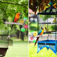Stand Perch Toy with Rotating Balls for Birds, Parakeets, Budgies, Cockatiels, Parrots, Budgerigars, Conures, Parrotlets, Ringnecks, Lovebirds (1Pcs)