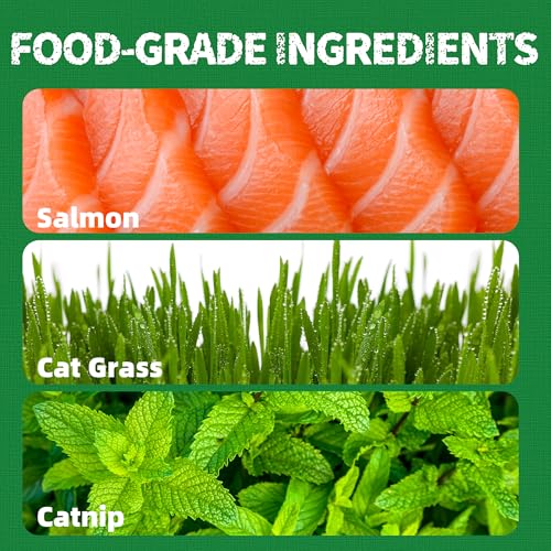 Just Try Cat Treats for Indoor Cats Hairball Control Natural Salmon Healthy Cat Grass Treats Kitten Snacks Training Biscuits Catnip for Cats Dental Care 13.4 OZ