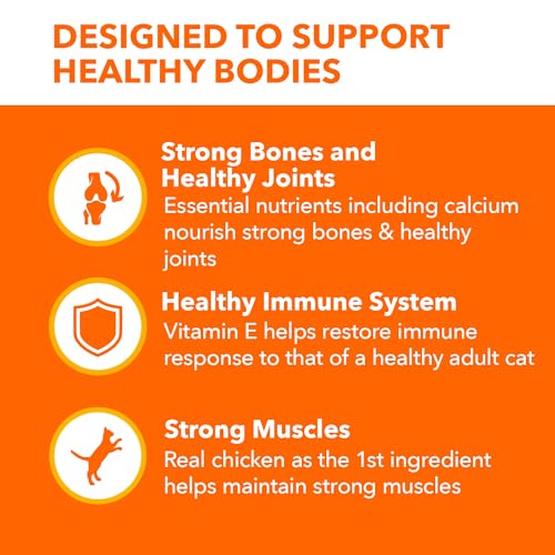 IAMS Proactive Health Healthy Senior Dry Cat Food with Chicken, 7 lb. Bag