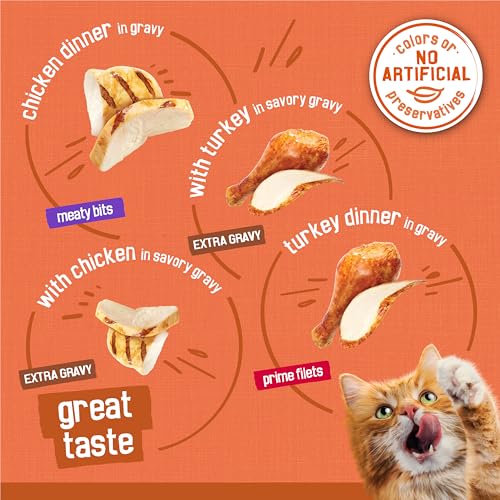 Purina Friskies Wet Cat Food Gravy Variety Pack, TurChicken Extra Gravy Chunky, Meaty Bits and  Filets - (Pack of 40) 5.5 oz. Cans