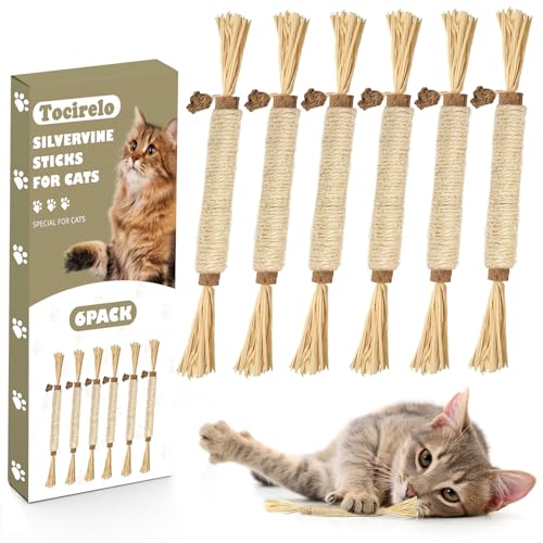 Tocirelo Silvervine Sticks Cat Toys - 6Pack Natural Cat Chew Toy Teeth Cleaning, Matatabi Dental Care Kitten Treat, Catnip Cat Teething Toys, Catmint