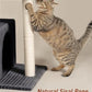 Cat Tree for Large Cat, 20.9 * 15.7in Large Perch Bed for Adult Cats, 22.8in Cat Tower with Scratching Post, Cat Condo with 2-Door for Indoor Cats, Dark Gray