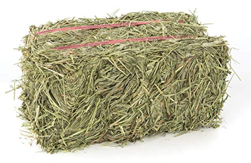 Grandpa's Best Timothy Hay Bale, 5lbs