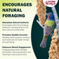 Living World - Millet Spray for Birds, 3.5 Oz – Premium Treat for Budgies, Canaries, Finches, Cockatiels and Other Pet Birds