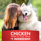 Pur Luv Dog Treats, K9 Kabobs Made with Real Chicken and Duck, 12 Ounces, Dog Snacks, Healthy, Easily Digestible, Long-Lasting, High Protein Treat