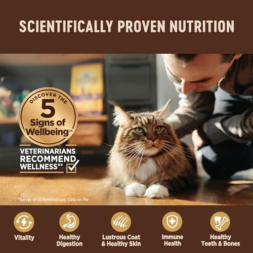 Wellness CORE Tiny Tasters Pate Adult Wet Cat Food, Natural, Protein-Rich, Grain Free, 1.75-Ounce Pouch, 12 Pack, (Land Variety Pack)