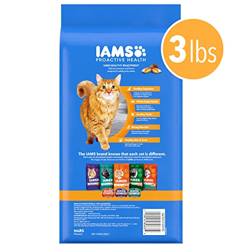 IAMS Healthy Enjoyment Dry Cat Food Chicken & Salmon Recipe, 3 lb. Bag