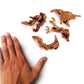 YZHZOM Small Natural Driftwood for Aquarium Styling Carefully Selected Natural Aquarium Decor Driftwood for Reptile Tank Reptile Tank Wood Decor (Driftwood 4-6inch 4pcs)