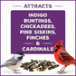 Pennington Pride Songbird Nut & Fruit Blend, Wild Bird Seed for Outside Feeders, Advanced Nutrition Formula for Health, Bird Food, 10-lb. Bag