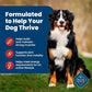Blue Buffalo Life Protection Formula Adult Dry Dog Food, Helps Build and Maintain Strong Muscles, Made with Natural Ingredients, Beef & Brown Rice Recipe, 5-lb. Bag