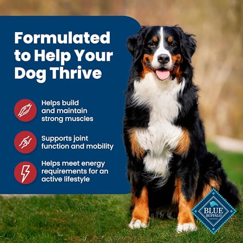 Blue Buffalo Life Protection Formula Adult Dry Dog Food, Helps Build and Maintain Strong Muscles, Made with Natural Ingredients, Beef & Brown Rice Recipe, 5-lb. Bag