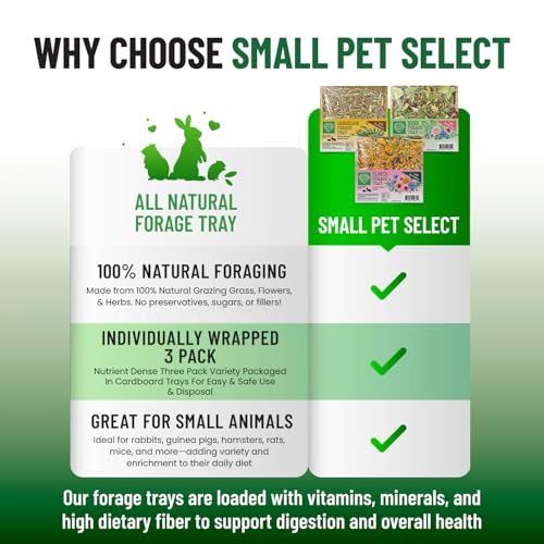 Small Pet Select Forage Tray Bundle, 3 Pack of Foraging Trays for Rabbit, Guinea Pig, Hamster or Bunny - Natural Treats, Dandelion, Flower, Herb Mix 2.5oz Each