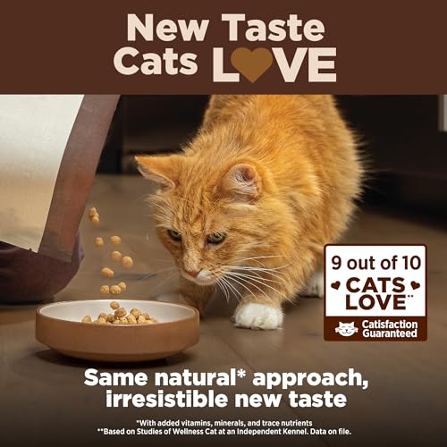Wellness CORE+ Adult Dry Cat Food for Indoor Cats, Grain-Free, Natural, Chicken, Turkey & Chicken Meal (5 Pound Bag)