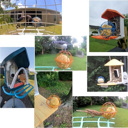 Metal Suet Ball Holder for Bird Buddy Smart Feeders & Others with 5mm Screw Hole for Accessory, Compatible with BirdBuddy Feeders, Durable Add-on Accessory (Blue)