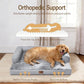 Comfort Expression Washable Orthopedic Dog Bed for Extra Large Dogs XL Grey | Waterproof Memory Foam Pet Bed 42x30 Inch with Removable Cover, Pet