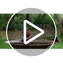 Microbe-Lift Bird Bath Clear Two-in-One Water Cleaner – 4 Oz – Safe for Birds, Fish & Frogs – Cleans Outdoor Birdbaths & Fountains – Natural Formula, Prevents Stains & Cloudiness