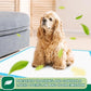 IMMCUTE Puppy Pads 22"x23" 100 Count | 6-Layer Leak-Proof & Super Absorbent Dog Training Pads | Disposable Potty Pads for Puppies, Dogs, Cats & Rabbits | Blue & White