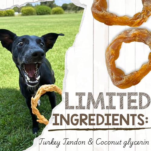 Nature Gnaws USA Turkey Tendon Rings for Dogs (8oz) - Delicious Grain Free Reward Snack for Small, Medium & Large Breeds - Premium Natural Dog Chew