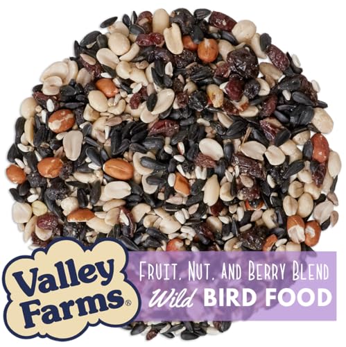 Valley Farms Fruit Nut & Berry (4 LB) Wild Bird Food Outside Feeders, Bird Seed with Dried Fruit, Peanuts, Sunflower, and Safflower, High Energy Mix for Healthy Birds!
