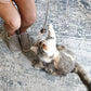 OurPet's Play-N-Squeak Teathered & Feathered Play Wand Cat Toy, for All Breed Sizes
