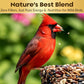 Cardinal Bird Seed Cylinders with Hole – Premium Cardinal Bird Seed Mix Curated for Cardinals & Also Loved by Blue Jays & Woodpeckers – Long Lasting, All Natural, No Fillers, USA Made (4" x 7.75")